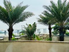 -南沙游艇会·大兵船餐厅