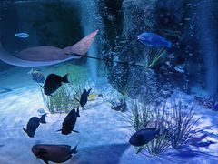 -沈阳海洋探索中心