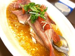 -德兴海鲜渔港(辉煌大厦店)