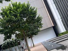 -阿嬷手作(深圳万象天地店)