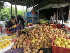 -樂桃源奉贤黄桃种植采摘基地