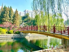 -元大都城垣遗址公园