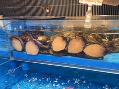 -海底捞火锅(长宁路龙之梦店)