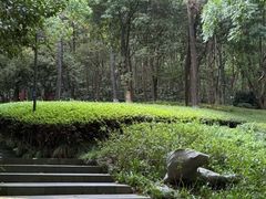 -杭州半山国家森林公园