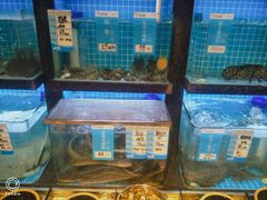 -老街烧烤·四方路小烤肉(书院路店)