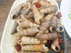 -贞姨美食·老字号海鲜大排档