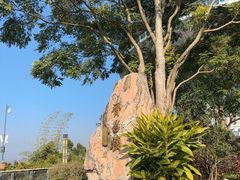 -神光山国家森林公园