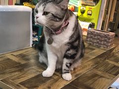 -小时光咖啡馆(开森度假森林店)