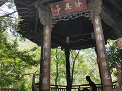 -杭州半山国家森林公园