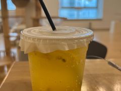 -有喵·猫咖·狗咖·30几只猫10只小狗(岗厦店)