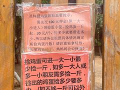 -第五季龙水凤港生态露营农场