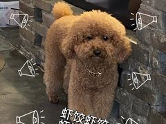 -漫笙舍Manse·咖啡·民宿