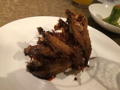 -苏浙总会(国金中心店)