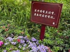 -成都杜甫草堂博物馆