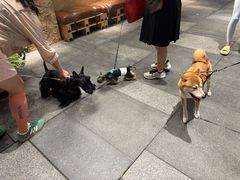 -瑞虹新天地月亮湾