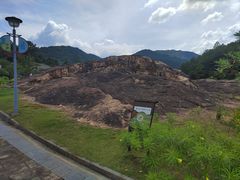 -广州白江湖森林公园