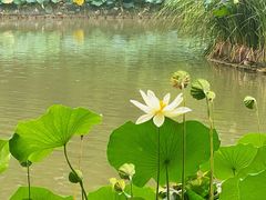 -北京动物园-畅观楼