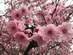 -白塘生态植物园