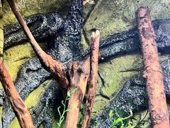 -上海海洋水族馆