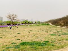 -汉长安城未央宫国家考古遗址公园