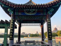 -莲花池公园
