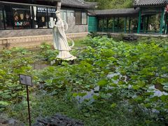 -珠海圆明新园