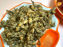 -向外鱼乐·土菜·虹鳟鱼