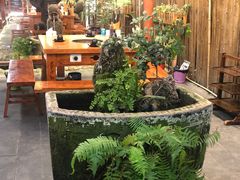 -三道苗苗鱼·美蛙黄辣丁(八里店)