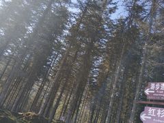 -硗碛藏寨·神木垒景区