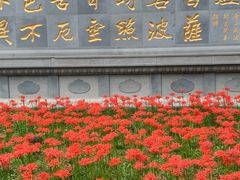 -西安大兴善寺