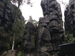 -梭布垭石林景区