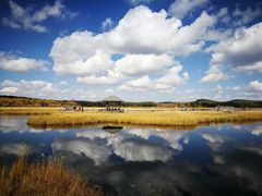 -塞罕坝国家级自然保护区