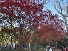 -莹珠阁·私房菜