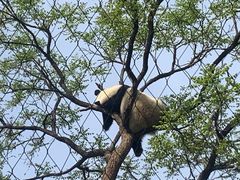 -北京海洋馆
