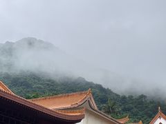 -深圳仙湖植物园