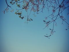 -盘龙城国家考古遗址公园