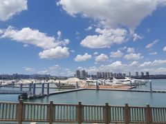 -五缘湾游艇帆船俱乐部