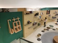 -飞行喵MR PILOT|猫舍·猫咖(静安大融城店)