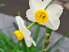 -共青国家森林公园-售票处