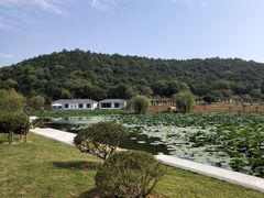 -龙寺生态园