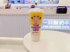 -一只酸奶牛(兰州中心店)