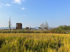 -良渚古城遗址公园
