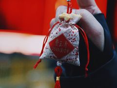 -南京奥林匹克体育中心-体育馆