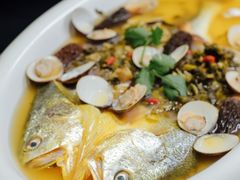 鸡汤羊肚菌浸东海大黄鱼-瓯越轩(新希望立体城购物中心店)