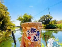 -徐岛主·特色农家乐(阳澄湖莲花岛店)