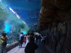 -华夏文旅海洋公园