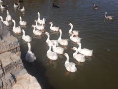 -鄂尔多斯野生动物园