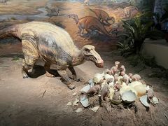 -自贡恐龙博物馆