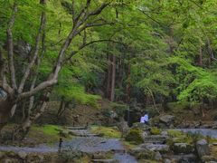 -醍醐寺