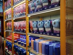 -line friends(明洞旗舰店)